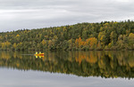 Fiske i sjön Norrviken