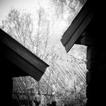 taknockar i konflikt