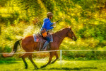 Horseback Archery Sydskyttarna