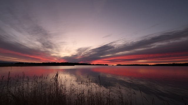 Ljusets &aring;terkomst