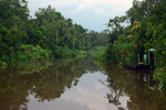 Sekonyer River, Borneo