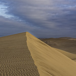 Sanddyn utanför Swakopmund, Namibia.