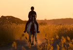 Rider i solnedgång