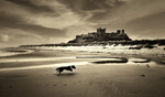 Vid Bamburgh Castle