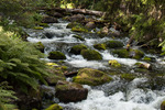 Fulufjällets national park