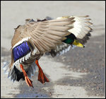 N&auml;h&auml; du,inte en g&aring;ng till