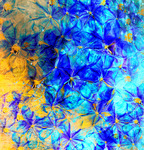 Flower Art
