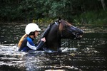 Horse swim
