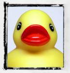 Rubber Duck