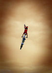 FMX