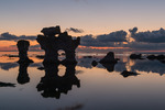 Hunden vid Gamle hamn, Fårö