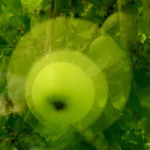 Gröna små äpplen