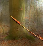 Sv&auml;llande knoppar