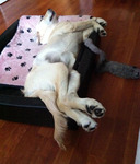 Åhh va trött jag är