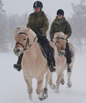 Hester og ryttere i tett snøvær.