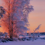 Solnedgång i Norrland