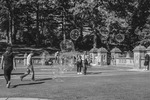 Bubbles at Central Park