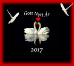 Gott nytt år