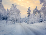 Fairyland