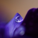 S&ouml;ndag i v&auml;ntan..