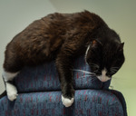 20170812 - Astrid - 0061.jpg