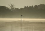 Morgondimma vid Vombsjön