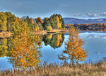 Höst vid Ljusnan