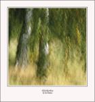 H&ouml;stbj&ouml;rkar