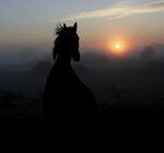 Yster lek i soluppg&aring;ngen