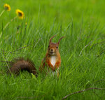 Kan jag f&aring; vara ifred....