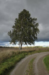 Storm på väg...