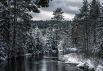 Öppet vatten i vinterskog