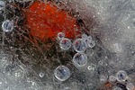 Ice art
