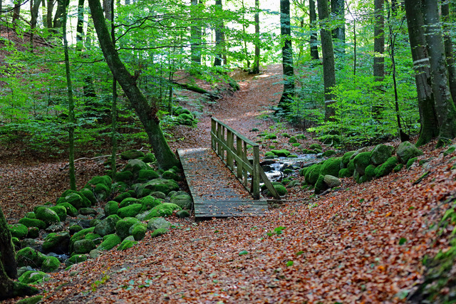 Stillheten Bjuder In