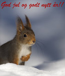 Gog jul og godt nytt &aring;r