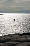 Stand Up Paddle Board