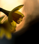 Efter jul s&aring; kommer p&aring;ska