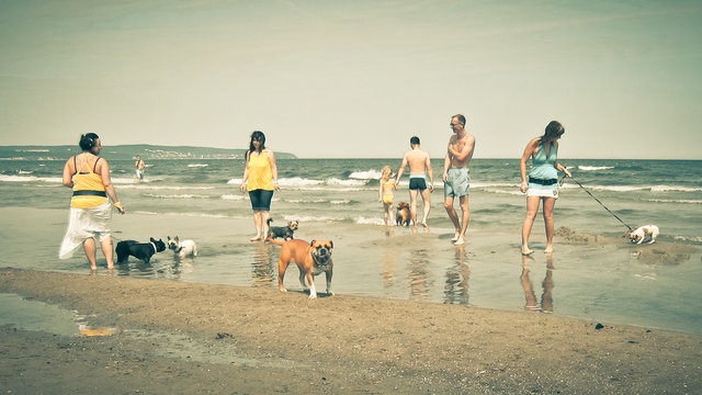 Hundestrand