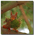 Full av energi .......