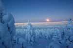 Snöigt, klart och kallt