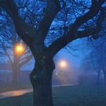 R&aring; bl&aring; morgon