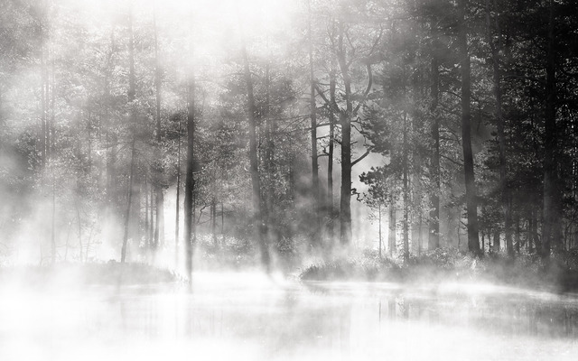 Gryningsdimmans dans