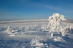 Snömannen kommer