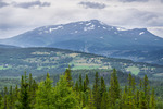 Åreskutan den 8 augusti 2015