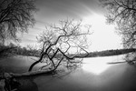 Vinter på stranden