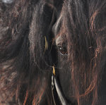 Fables & Fairy Tales.