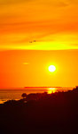 Solnedgång vid Key West