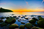 Arild