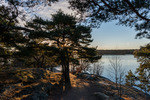 _DSG1690.jpg
