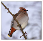 V&auml;lm&aring;ende...